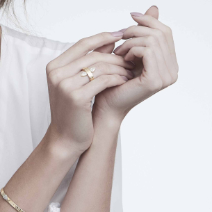 Anel em Ouro Amarelo 18K com Diamantes 