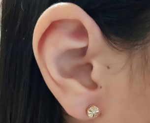 Brinco em Ouro Amarelo 18K com Diamantes 